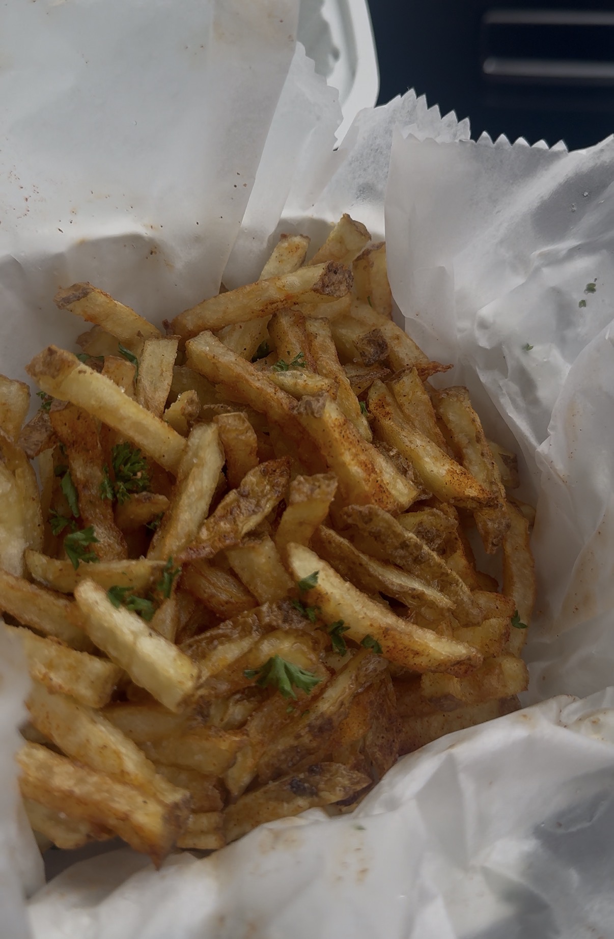 Hand-cut seasoned fries